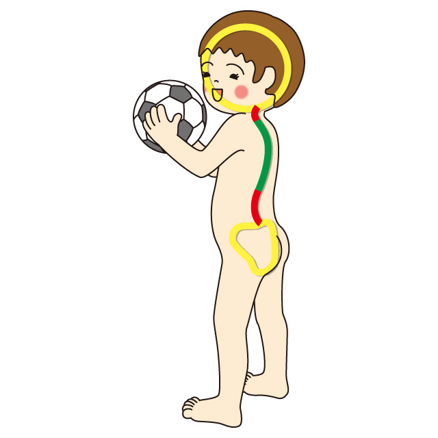 背骨育て　腰すわり