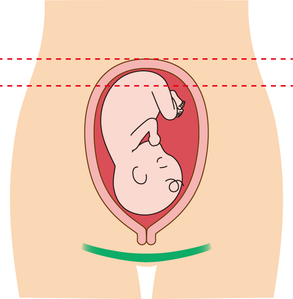 正常な子宮頸管